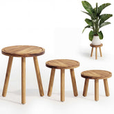 Bamworld plant stands trio front view showcasing a cohesive plant display