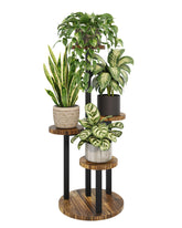 Bamworld 5-tier corner plant stand displaying space-saving organization