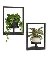 Bamworld plant stand indoor-wall decor displays compact greenery in a modern setting.