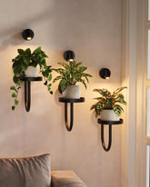 Bamworld wall-mounted plant stand with lights adds vertical greenery to living spaces.