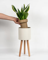 Bamworld white plant stand with metal planter showcases a sleek, versatile indoor decor piece.