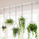 Bamworld Window Plant Hanger 63in display for sunny window sills