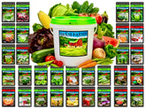 B&KM Farms Beginner Survival Seed Vault box with organized seed packs for quick setup.