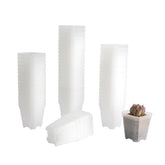 BangQiao seed-starting square pot with clear walls for monitoring germination.