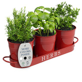 Barnyard Designs indoor herb planter with tray on a sunny kitchen counter for easy herb access