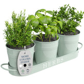 Barnyard Designs soft mint indoor herb planter set on a window sill, ideal for fresh herbs