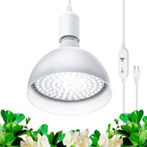 Barrina 25W full-spectrum grow light bulb illuminating indoor plants effectively