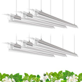 Barrina 4ft 5000K full-spectrum daylight strip setup improves indoor plant light coverage.