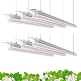 Barrina 4ft T8 grow light packaging shows the six-pack setup for DIY indoor gardens.