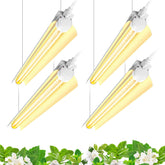 Barrina 96W full-spectrum 2ft light unit for indoor plants boosts growth