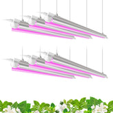Barrina LED grow light 6-pack setup for scalable indoor gardening