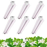 Barrina LED grow lights full-spectrum 180W six-pack for indoor gardens.