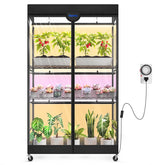 Barrina LP900 four-tier greenhouse front view with integrated grow lights for seed starting