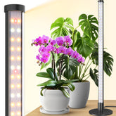 Barrina standing grow light on a table for efficient, space-saving indoor gardening.