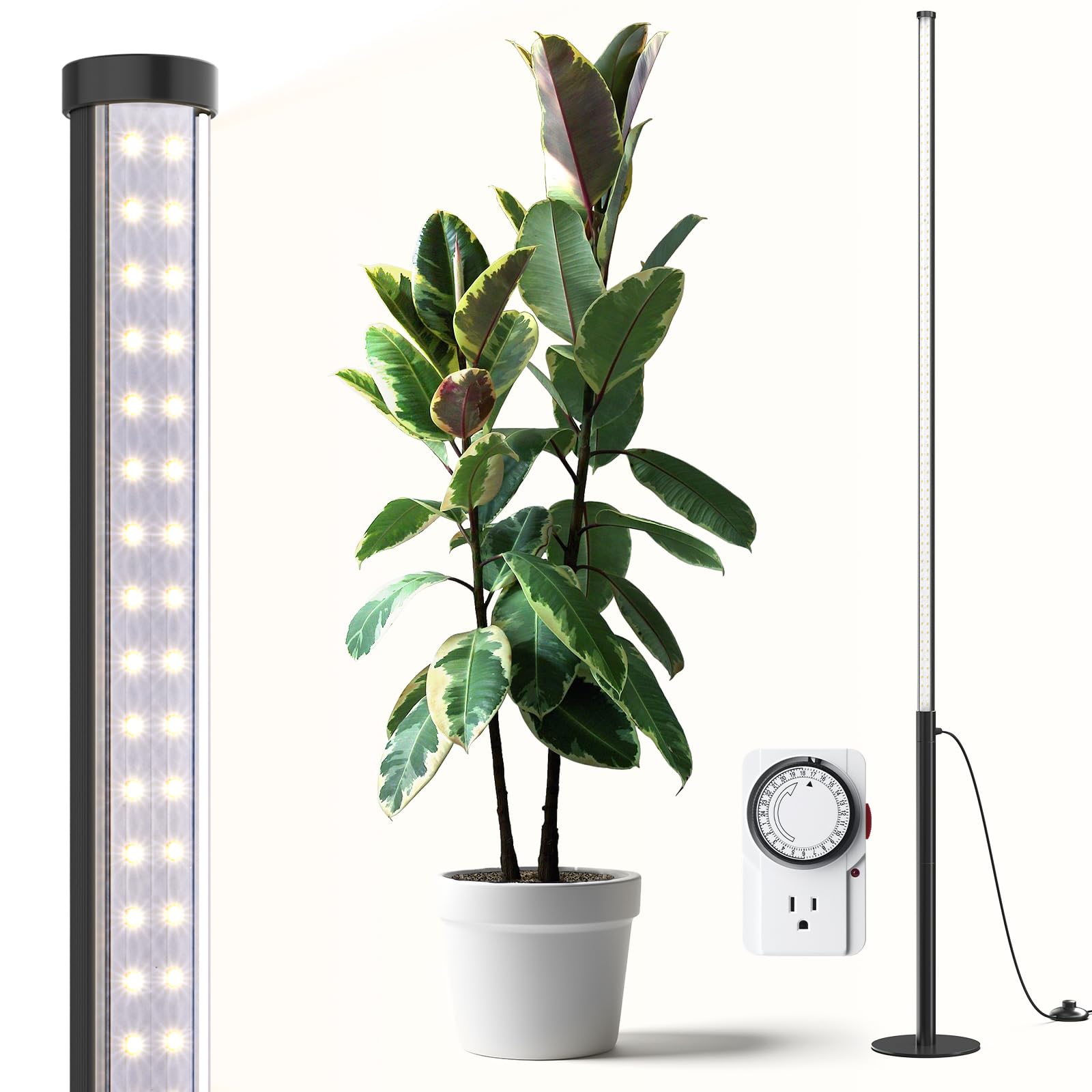 Barrina T10 Pro standing light base provides stable support for tall indoor plants.