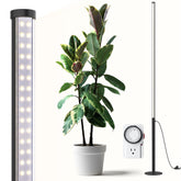 Barrina T10 Pro standing light base provides stable support for tall indoor plants.