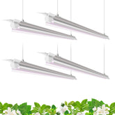 Barrina T8 LED Grow Light 4FT packaging for indoor gardening setups.