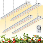Barrina TX-S60 full-spectrum light for indoor plants supports robust growth.