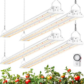 Barrina TX72 grow light front view showing a four-foot fixture for seedling growth