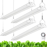 Barrina TX72 seed-starting setup with full-spectrum light for germination