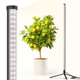Barrina vertical grow light with T10 side lighting for broad indoor plant coverage