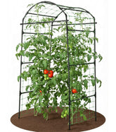 BAXAM 79 inch garden trellis arch front view showing space saving vertical growth for climbers