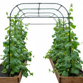 BAXAM wide arch trellis 7ft showing sturdy, rust-resistant frame for climbing plants