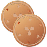 BBRGIRL copper-disk dual pack in outdoor bird bath for extended water freshness.