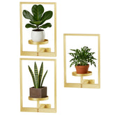 bbteroiu wall hanging plant stand with gold frame design adds greenery as wall art