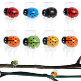 BEADNOVA orchid clips ladybug design keep spikes upright
