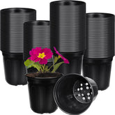 BeapTcely 2-gallon nursery pot top view with drainage for seedlings