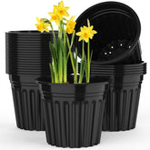 BeapTcely 50-Pcs 5-Gallon Planter Pots with drainage holes for seed starting.