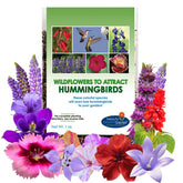 Beauty Beyond Belief hummingbird seed packet with open-pollinated 1oz mix.
