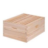 Beeinn 10-frame deep box in cedar wood for durable brood habitat.