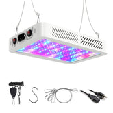 Beelux 1000W LED grow light over seedling trays boosts early growth