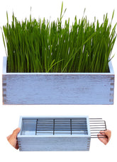 BENPIN wooden cat grass planter with dirt-proof grid for clean paws.