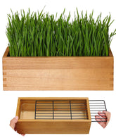 BENPIN wooden cat grass planter front view with aged yellow finish, fits windowsills.