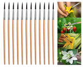 BENYRUAI pollinating brush with wood handle for precise greenhouse pollination.