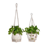 Beongfc 2-pack plant hanger in 29.5-inch reach, ideal for elevated indoor plants and sunlight access