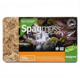 Besgrow Spagmoss 100g packaging, easy to store for orchids and moisture-loving plants.