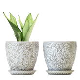Bestseler 6-inch ceramic planter with drainage hole for healthy watering.