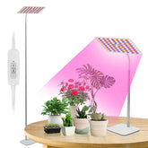BESTVA grow light on a sturdy stand supports seedling growth and dense foliage indoors.