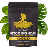 Big Foot Gold powder in a jar supports easy mixing for healthier plants