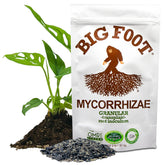 Big Foot Mycorrhizal Granular packaging shows easy transplant support.