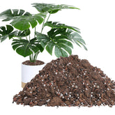 Biggun Monstera Soil Mix premium material for robust tropical growth