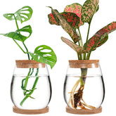 Biggun propagation station water drop vase for hydroponics and decorative roots.