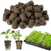 Bigmeta 50pcs rooting sponges pack for rapid seedling rooting.