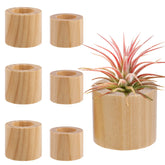 Bigmeta wood air plant holder angle view for compact decorative display