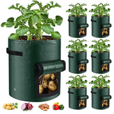 BIJOKETTEN 6-Pack view window potato grow bags for easy monitoring and harvest.