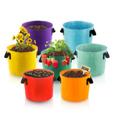 Biotolot 5-gallon grow bags in a colorful multi-color pack for vibrant container gardening.